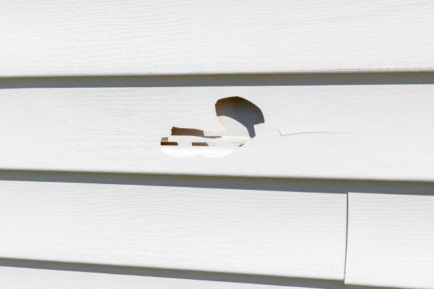 Best Demolition Debris Removal  in Tallahassee, FL