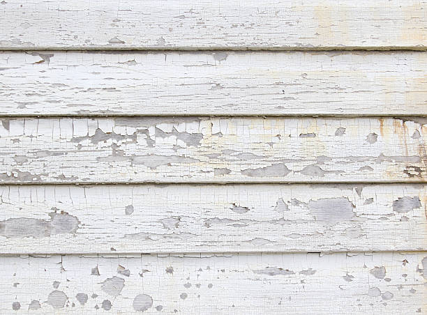 Trusted Tallahassee, FL Junk Removal Experts
